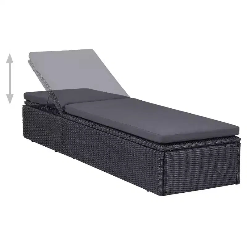 vidaXL tuinmeubelset, zwart en donkergrijs