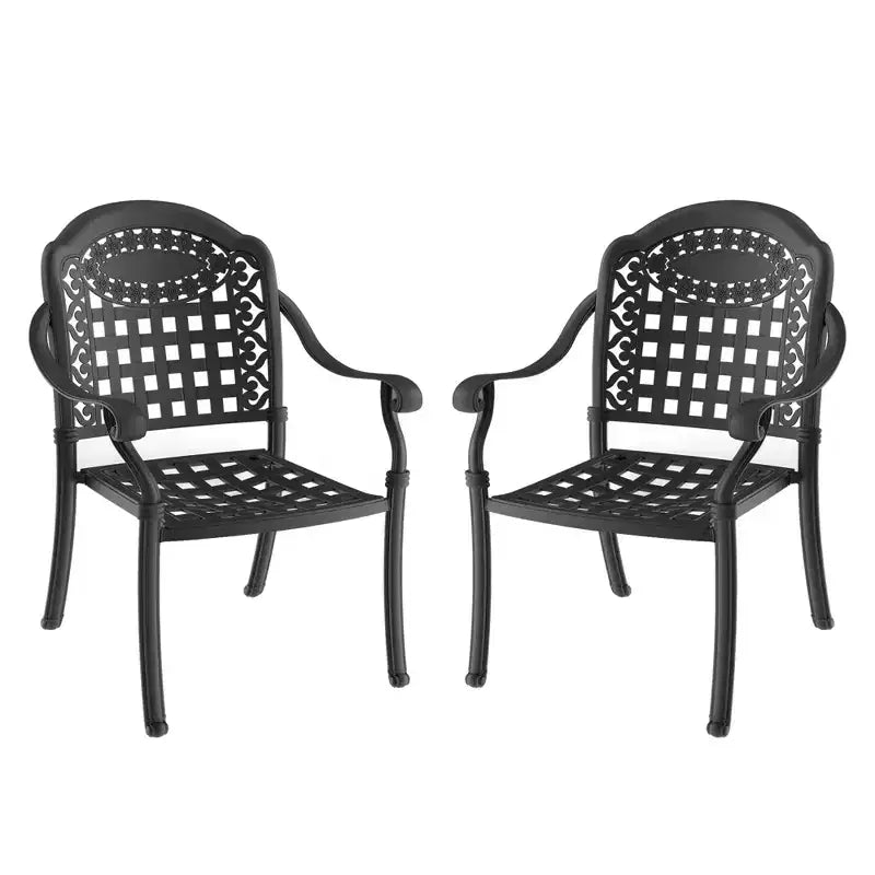 Set of 2 Cast Aluminum Patio Dining Chairs, Black Rust Resistant Frame with Water Resistant Cushions