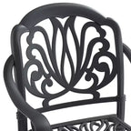 Set of 2 Cast Aluminum Patio Dining Chairs, Black Rust Resistant Frame with Water Resistant Cushions