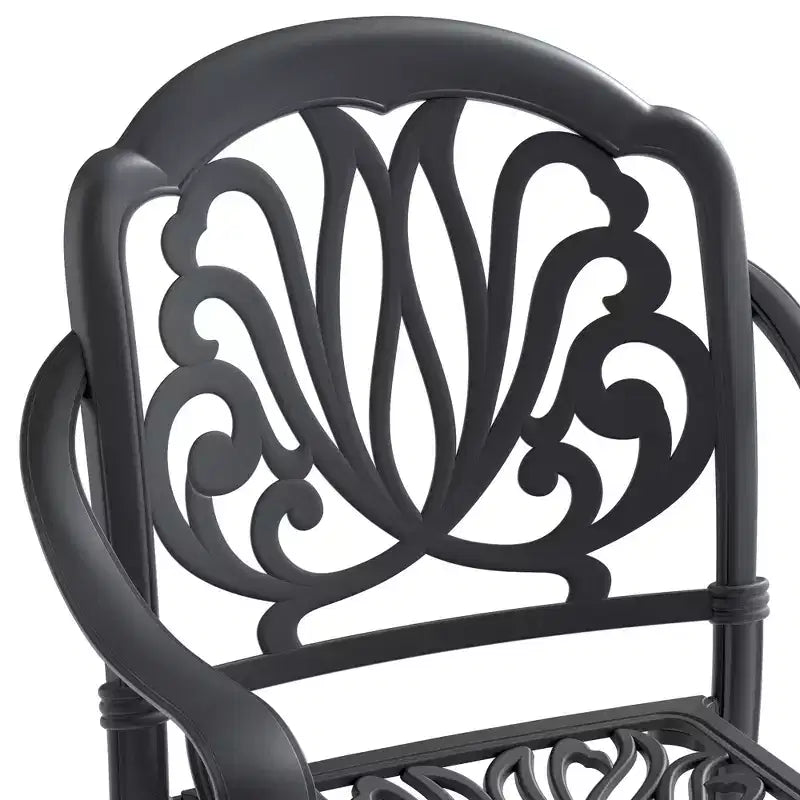 Set of 2 Cast Aluminum Patio Dining Chairs, Black Rust Resistant Frame with Water Resistant Cushions